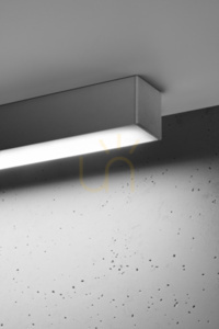 Plafonieră PINNE 118 gri Thoro small 4