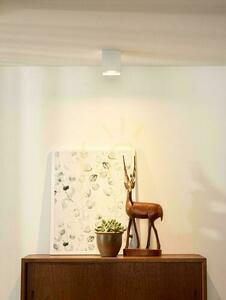 Plafonieră LED Lucide BODI alb GU10 reglabilă 09101/01/31 small 2