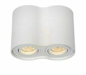 Spot de tavan aplicat Lucide TUBE alb, 2×GU10, 22952/02/31 small 0