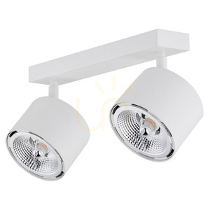 Plafonieră ARGON Clevland alb 2xGU10 reglabilă 1031 BZ small 1
