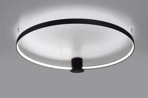 Plafonieră RIO 110 negru 4000K Thoro small 9