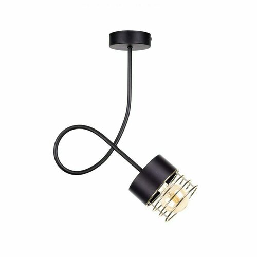 Verifica Lampă de tavan Keter Lighting ROYAL GOLD 1152, negru-auriu, 1×E27