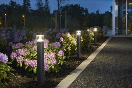 Verifica EGERSUND Mini 1291GR 9.1W 49cm stâlp de lumină grafit - NORLYS