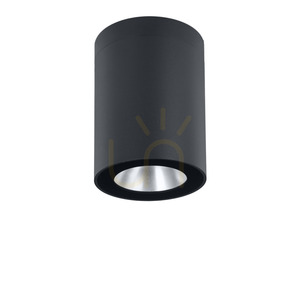 Plafonieră exterioară Norlys Nidaros 2121GR grafit LED 8,3 W 3000 K 18 cm small 3