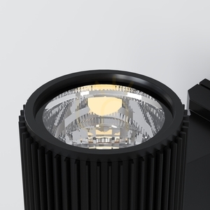 RANDO O419WL-01B lampă de perete pentru exterior IP54 Maytoni small 2