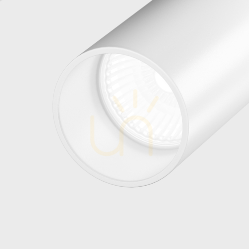 Verifica Plafonieră Maytoni Elti C021CL-02W, albă, 2×GU10