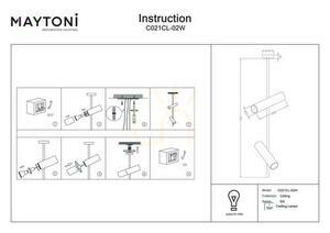 Plafon ELTI C021CL-02W Maytoni small 6