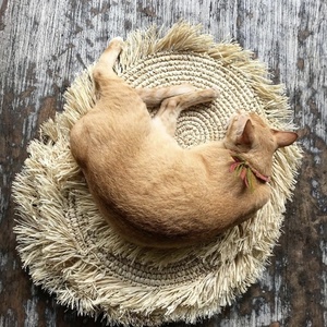 Șervețel de masă Fringe Raffia Rotund - Natural 9 Șervețel de masă Fringe Raffia Rotund - Natural small 9