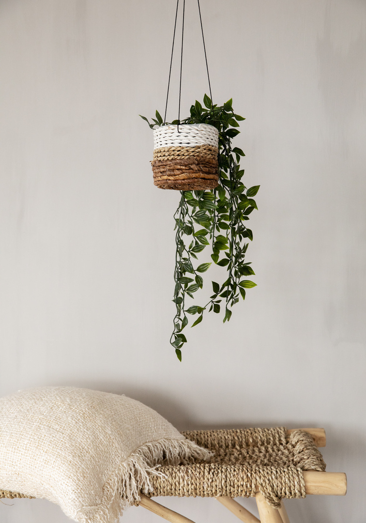Vedere Suport pentru plante Banana - alb natural - S Suport pentru plante Banana - alb natural - S