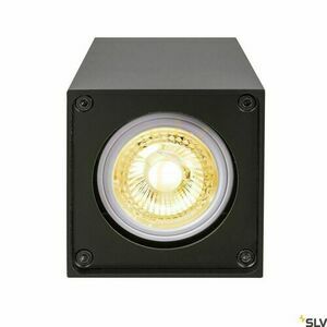 Plafonieră SLV ALTRA DICE negru 35W 1002216 1 Plafonieră SLV ALTRA DICE negru 35W 1002216 small 1