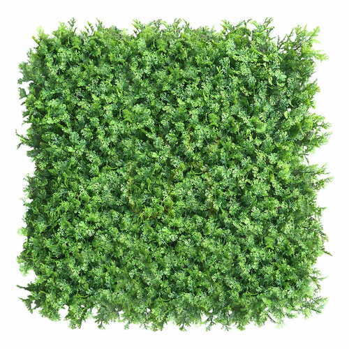 Verifica Perete verde Tuja 40x60cm