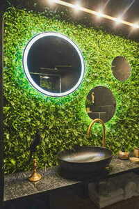 Perete verde de ulm 40x60cm small 5