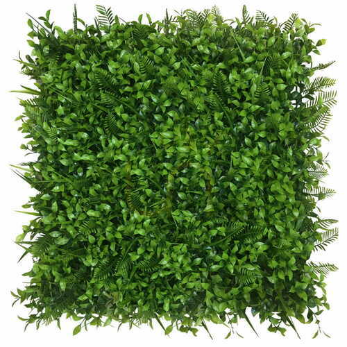 Verifica Perete verde de ulm 40x60cm