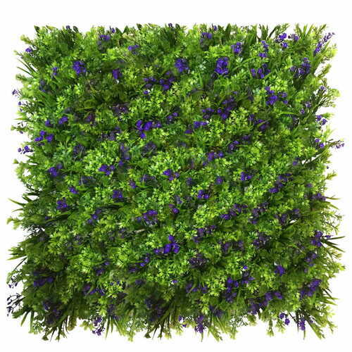 Verifica Perete verde Floarea de porumb 40x60cm