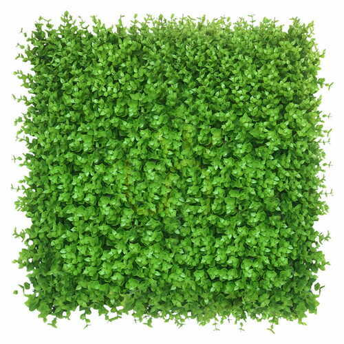 Verifica Perete verde Polen 40x60cm