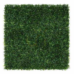 Perete verde Boxwood 40x60cm small 1