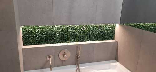 Verifica Perete verde Boxwood 40x60cm