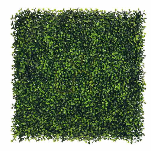 Verifica Perete verde Boxwood 40x60cm