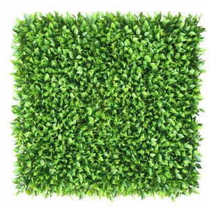 Honkenia perete verde 40x60cm small 0