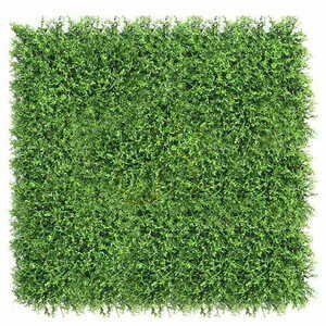 Vâsc verde de perete 40x60cm 1 Vâsc verde de perete 40x60cm small 1