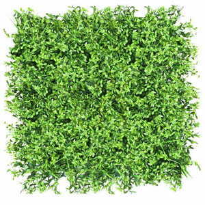 Vâsc verde de perete 40x60cm 0 Vâsc verde de perete 40x60cm small 0