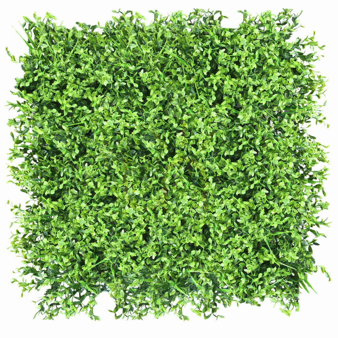 Verifica Vâsc verde de perete 40x60cm Vâsc verde de perete 40x60cm