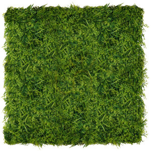 Wronóg perete verde 40x60cm small 4