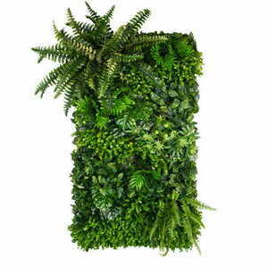 Laurel grădină verticală small 0