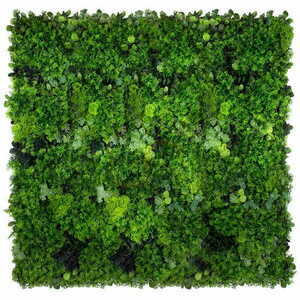 Grădină verticală Green Designers Moss Mesh GD136 50 × 100 cm small 1