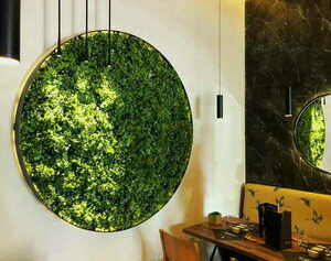 Grădină verticală Green Designers Moss Mesh GD136 50 × 100 cm small 3