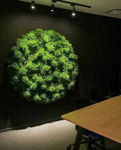 Grădină verticală Green Designers Moss Mesh GD136 50 × 100 cm small 5