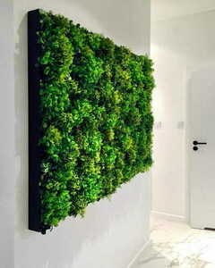Grădină verticală Green Designers Moss Mesh GD136 50 × 100 cm small 7