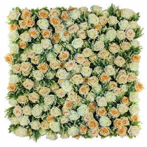 Blândă dimineață Rose Wall small 1