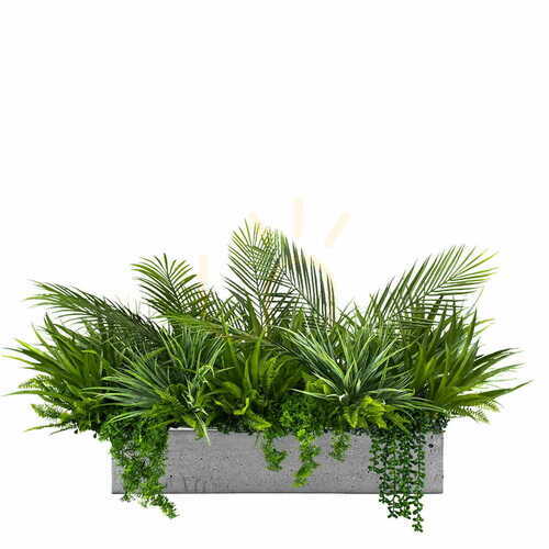 Verifica Umplerea ghiveciului de coastă cu plante