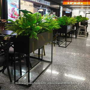 Umplerea ghiveciului Fresh Rain cu plante small 1