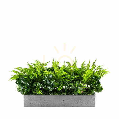 Verifica Sunshine Spirit, oală pentru plante Sunshine Spirit