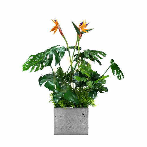 Verifica Inserție pentru ghiveci de plante Sunrise