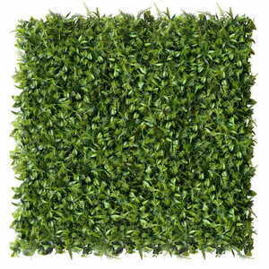 Perete verde Peperomia 40x60cm small 1