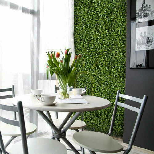 Verifica Perete verde Peperomia 40x60cm
