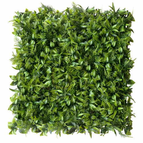 Verifica Perete verde Peperomia 40x60cm