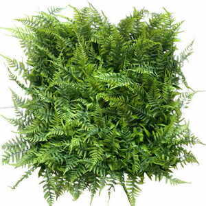 Adiantum UV covor artificial verde 50x50cm small 2