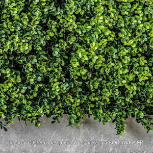 Mat artificial verde Blueberry FR UV 50x50cm small 6