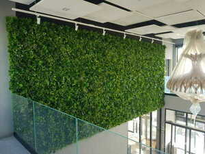 Grădină verticală Jungle Heart 5 Grădină verticală Jungle Heart small 5