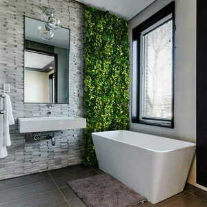 Grown Ivy grădină verticală Ivy 2 Grown Ivy grădină verticală Ivy small 2