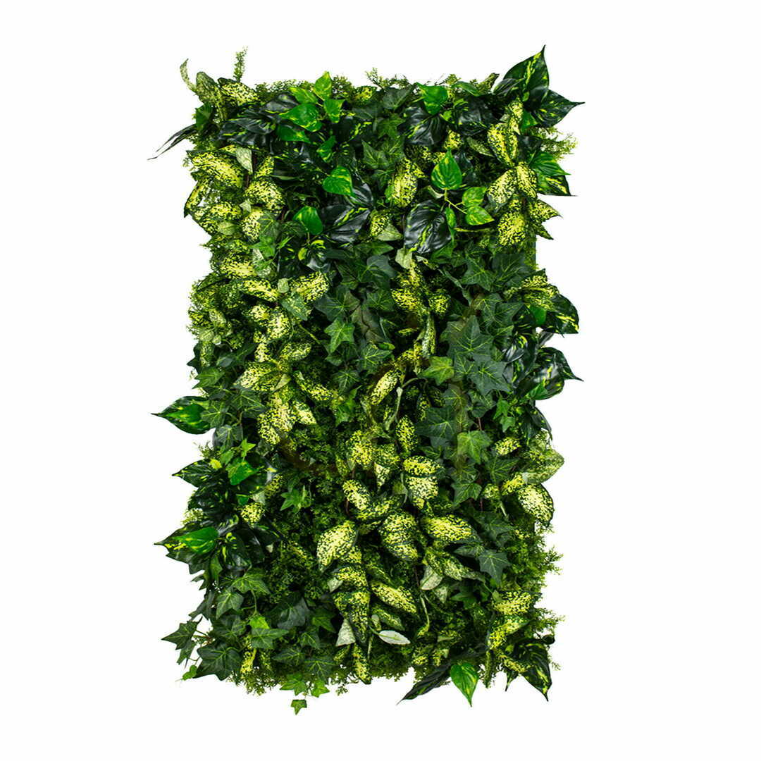 Verifica Grown Ivy grădină verticală Ivy Grown Ivy grădină verticală Ivy