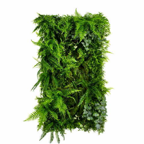 Verifica Grădină verticală Leafy Frond