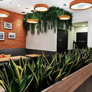 Grădină verticală Wildgrass FR UV small 7