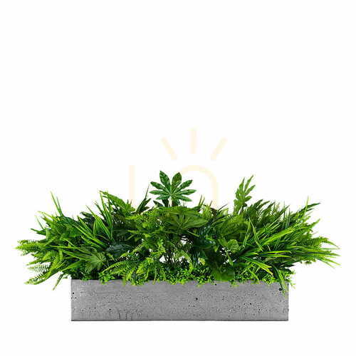 Verifica Compoziția plantelor pentru Dove pot