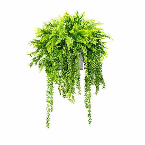 Verifica Purple Crow umplere ghiveci de plante Purple Crow