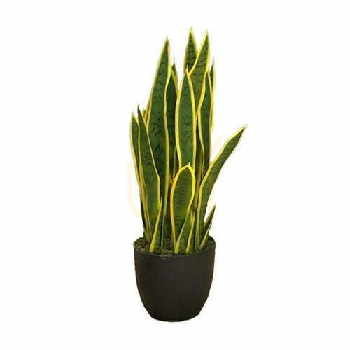 Verifica Plantă artificială de Sansewieria Laurentii 65cm